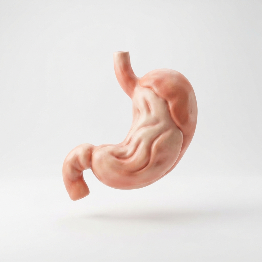 Gastroenterologist