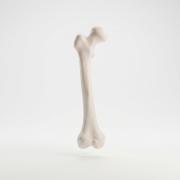 Orthopedic Surgeon